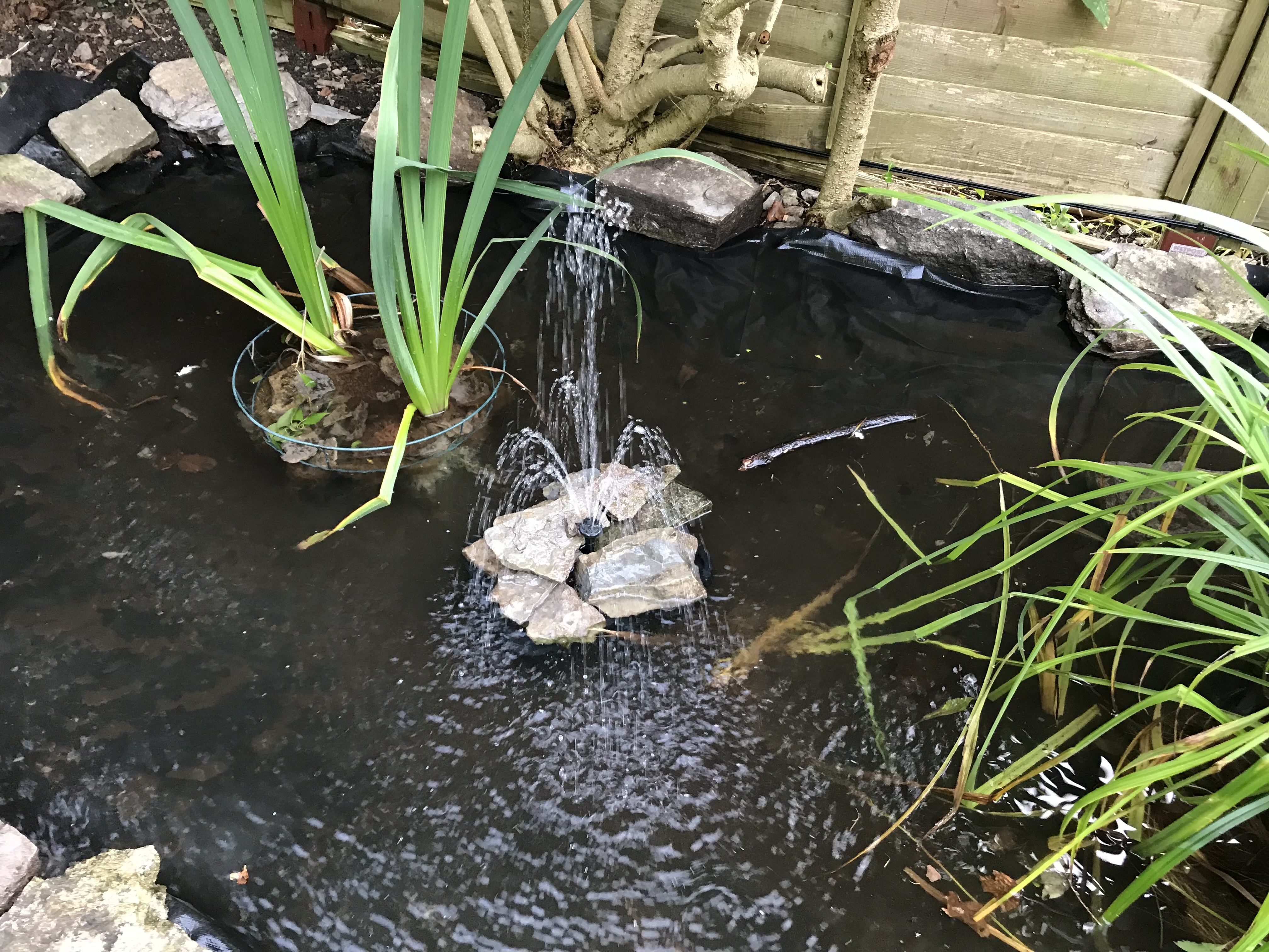 Building a wildlife pond Greengage Garden Solutions